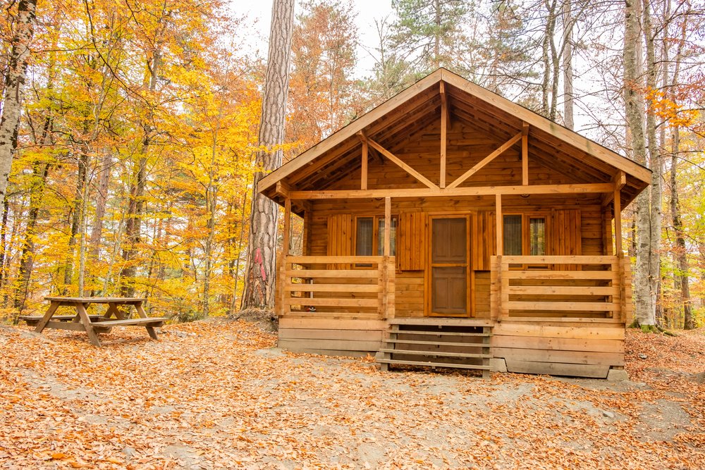 log cabin in woods
