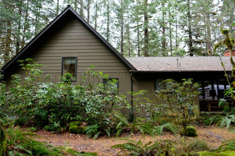 The Wellness Cabin Revolution: Why 2025 is the Year of Mindful Getaways