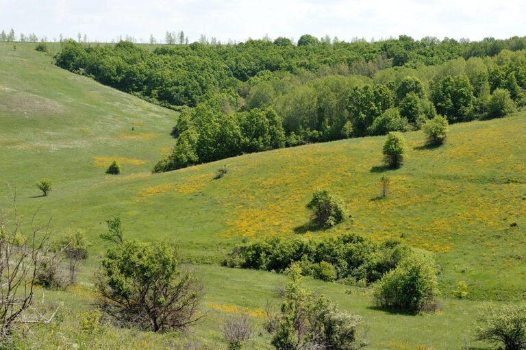 2026 Guide to Buying Land for Your Log Cabin: Navigating Trends, Tech, and Zoning Reform