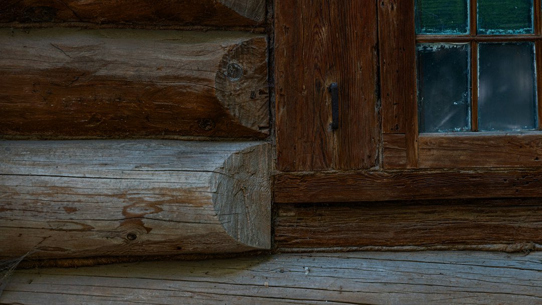 Close-up of a log cabin corner and window frame where gaps let fall pests inside