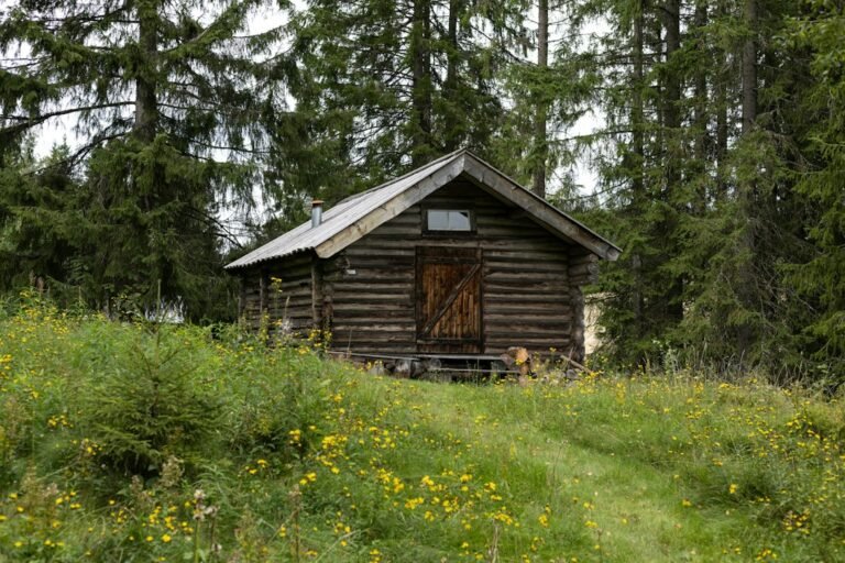 Small log cabin shed outbuilding in a field of wildflowers