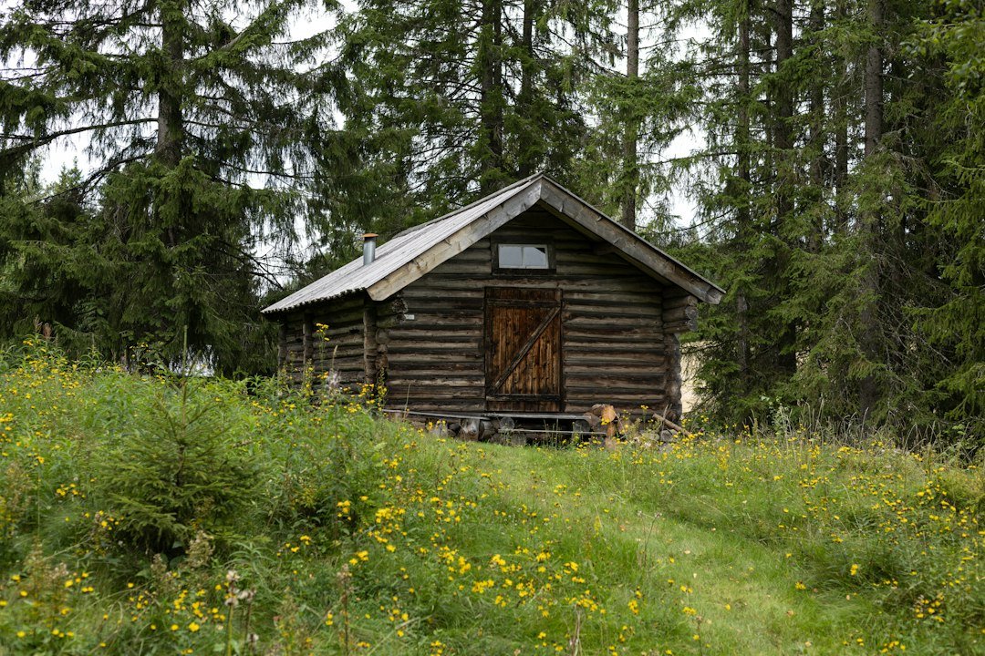 Small log cabin shed outbuilding in a field of wildflowers