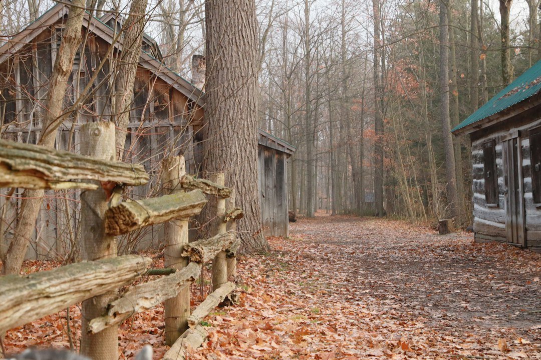 Rustic log cabins and wooden fence surrounded by fall foliage in an autumn forest