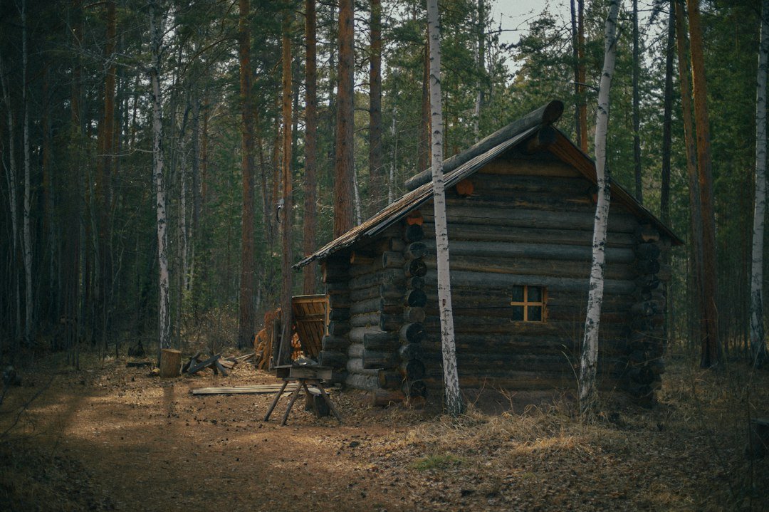 Weathered full-scribe log storage shed with saddle-notch corners in a forest